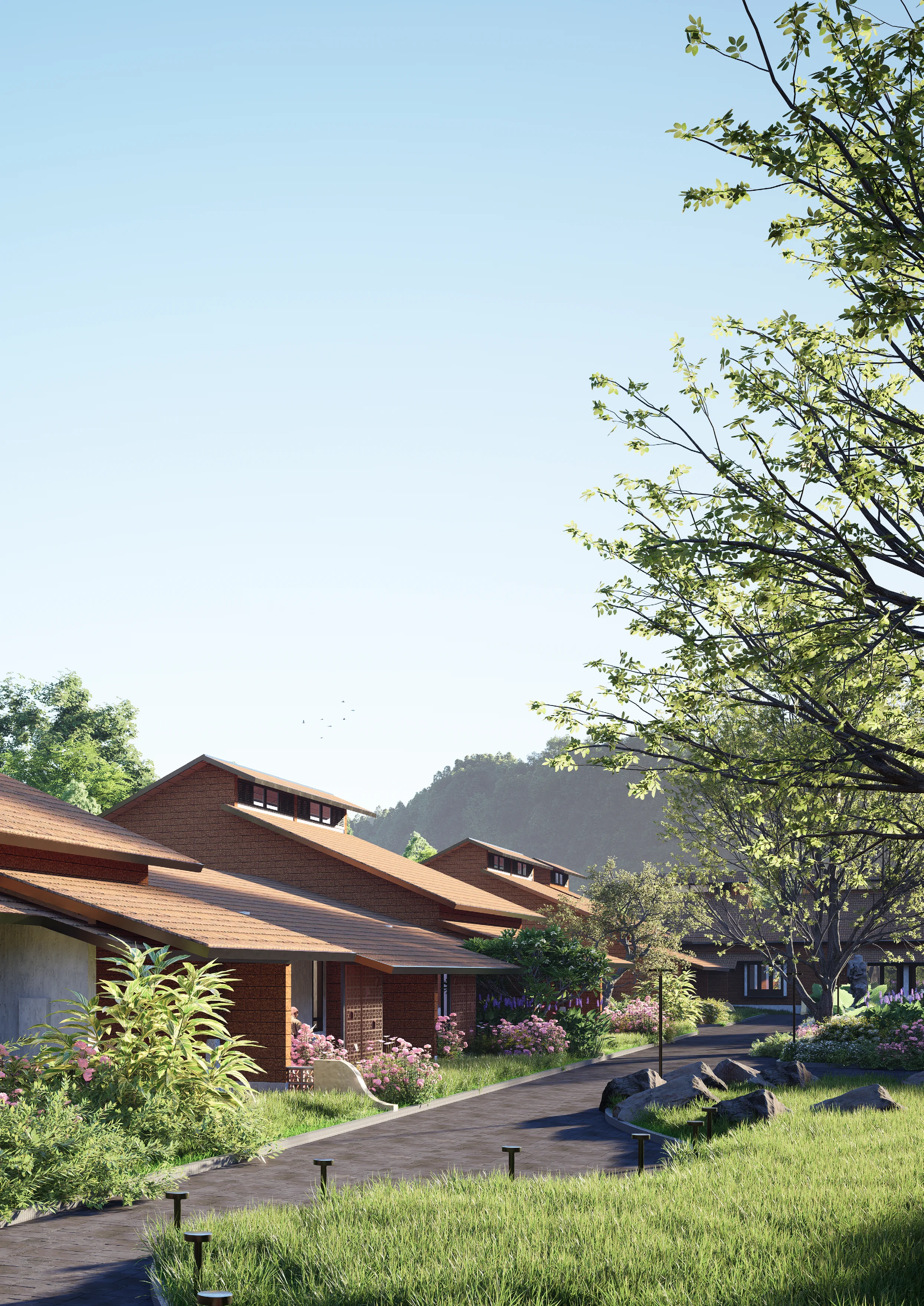 Between the homes and the gardens